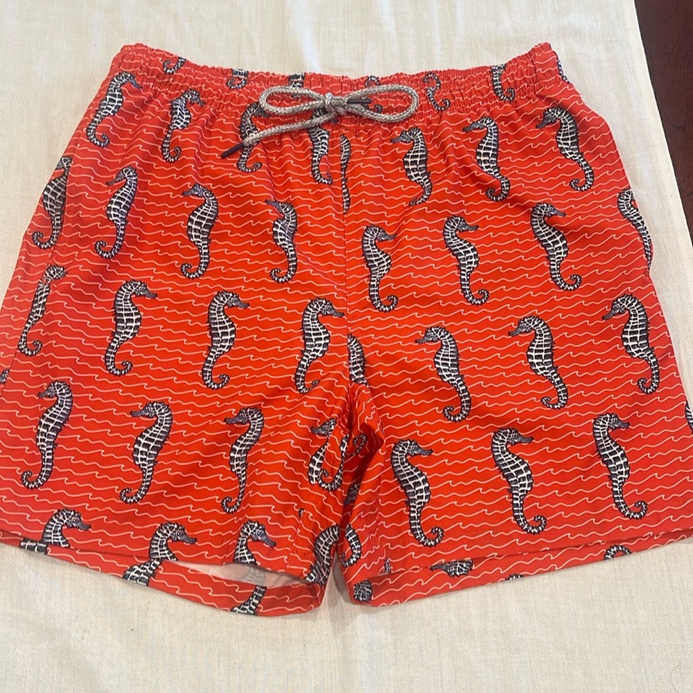 B9B008 Rainforest Sea Horse print Swim Trunks 4-Way Stretch Quick Dry SZ M. EUC